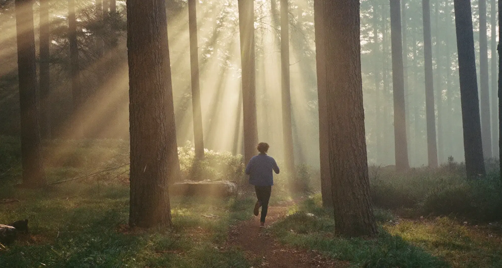 Runner on a misty forest trail in morning sunbeams