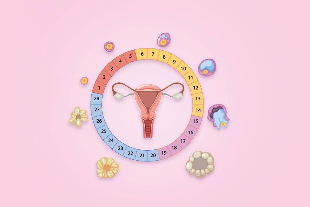 luteal phase symptoms — Luteal Phase Symptoms: Why You Feel Different After Ovulation