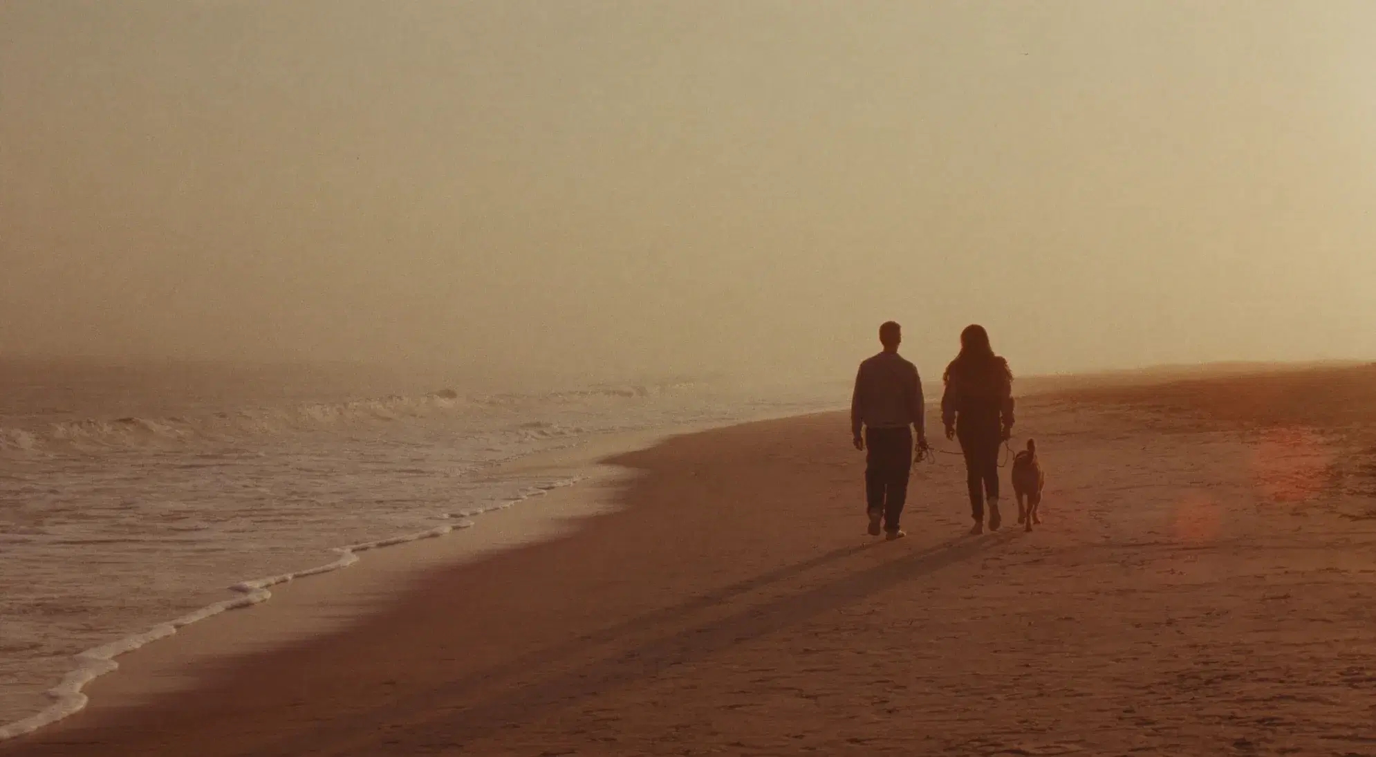 Couple walking a dog along a foggy beach at golden hour