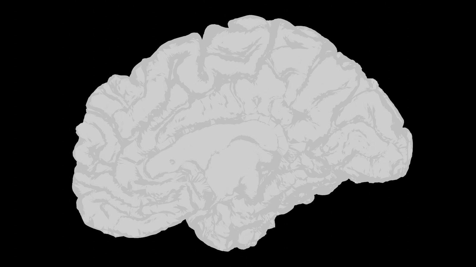 Why You Get Brain Fog in Perimenopause (and What Helps) article illustration