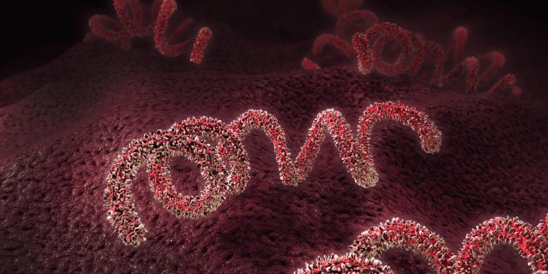 syphilis symptoms in females — Syphilis Symptoms in Females: What They Look Like and When to Test