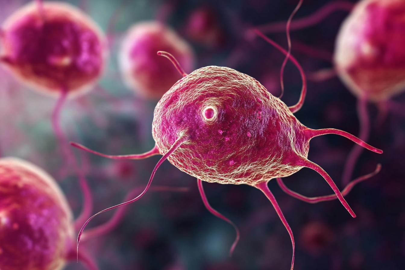 trichomoniasis symptoms — Trichomoniasis Symptoms: What’s Normal, What’s Not, and What to Do Next